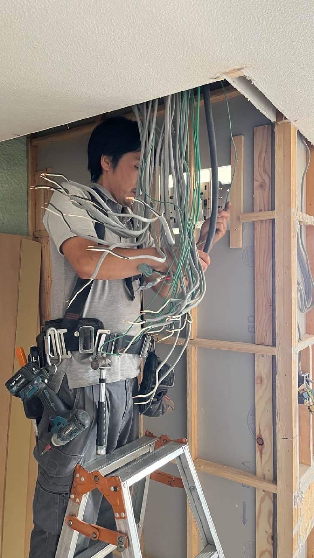 5日目
