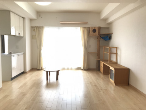 猫のためのリフォーム　Part２
