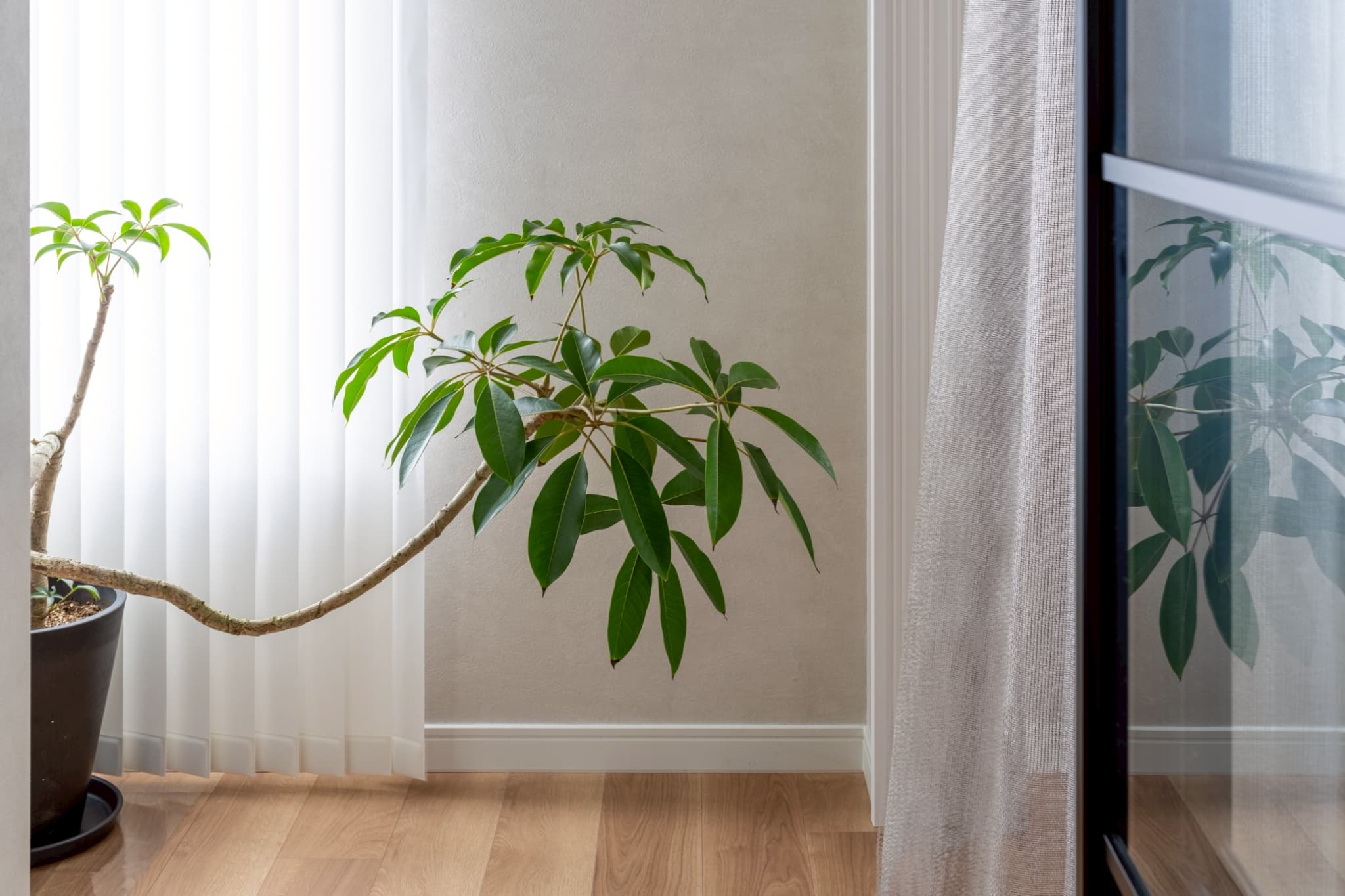 Beautiful minimal interior